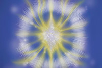 Healing and Protection Courses