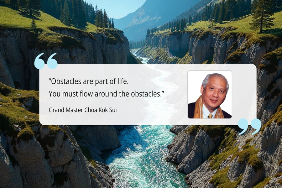 Obstacles are part of life. You must flow around the obstacles.