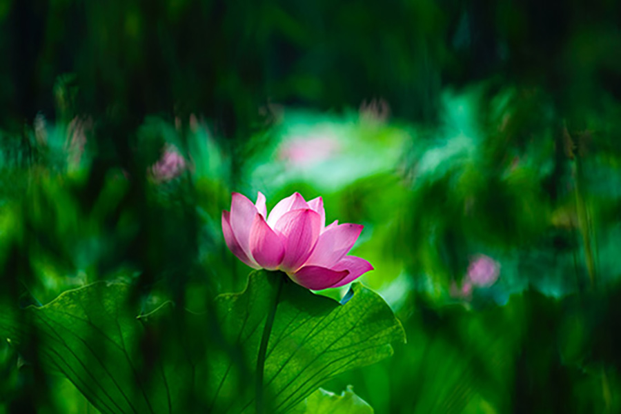 Sometimes a project is assigned to gauge the quality of the student. Every time you are given an assignment, you are given an opportunity to develop.