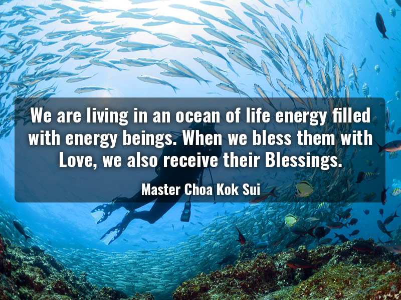 MCKS Quote - We are living in an ocean of Life Energy