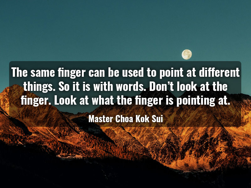 Mcks Quote - Look at what the Finger is Pointing at